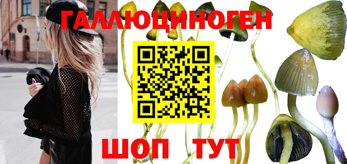 Каспийск  купить  цена  Вход с VPN  Псилоцибиновые грибы MAGIC MUSHROOMS 